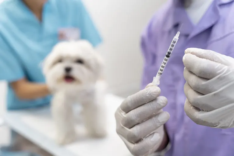 Sancionada lei do deputado Robério Negreiros que institui campanha sobre cinomose canina