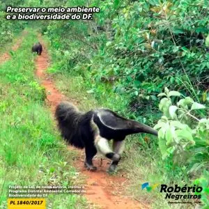 Programa Distrital Corredor de Biodiversidade do DF