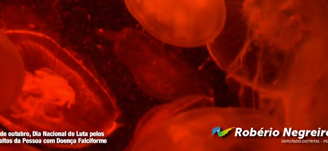 Começa o cadastramento de pessoas com doença Falciforme
