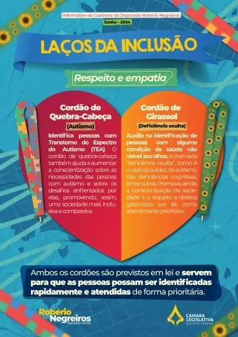 Capa do informativo Laços da Inclusão, de 2024